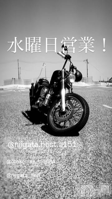 ĮۥȡܡСA151(ݥ) ɥХ 褦716ֿ̥֥