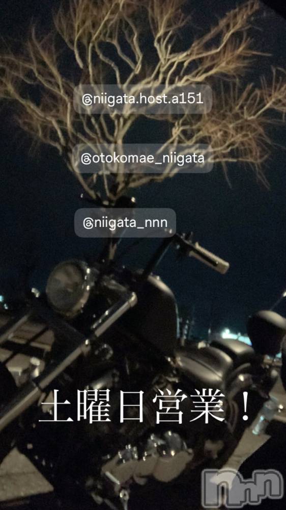 ĮۥȡܡСA151(ݥ) ɥХ 褦830̥֥