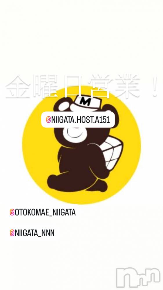 ĮۥȡܡСA151(ݥ) ɥХ 褦103ֶ̥֥