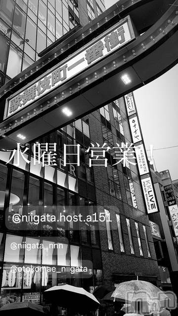 ĮۥȡܡСA151(ݥ) 褦1022ֿ̥֥