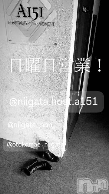 ĮۥȡܡСA151(ݥ) 褦1026̥֥