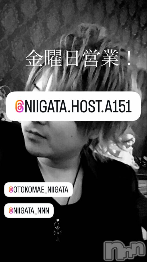 ĮۥȡܡСA151(ݥ) 褦117ֶ̥֥