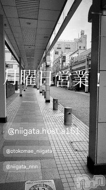 ĮۥȡܡСA151(ݥ) 褦1110ַ̥֥