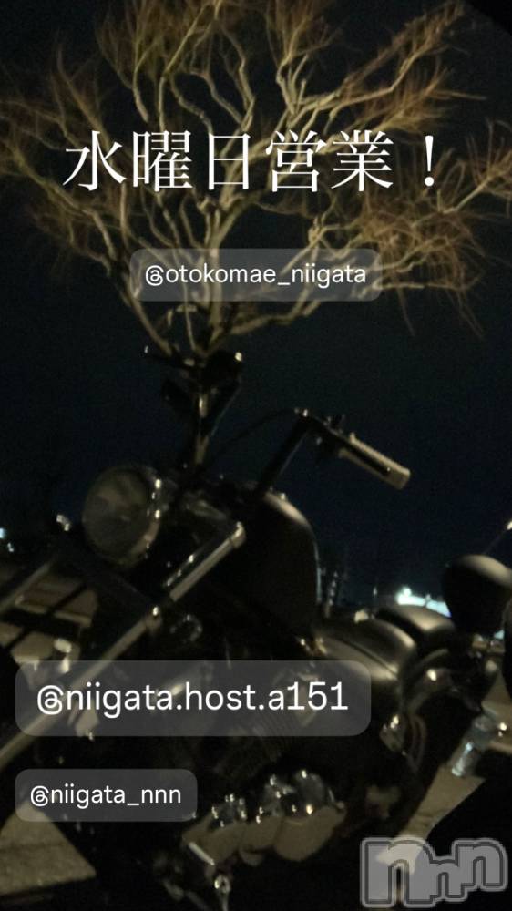 ĮۥȡܡСA151(ݥ) 褦1112ֿ̥֥