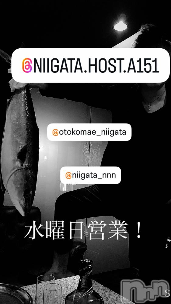 ĮۥȡܡСA151(ݥ) 褦1119ֿ̥֥