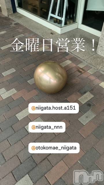 ĮۥȡܡСA151(ݥ) 褦1121ֶ̥֥