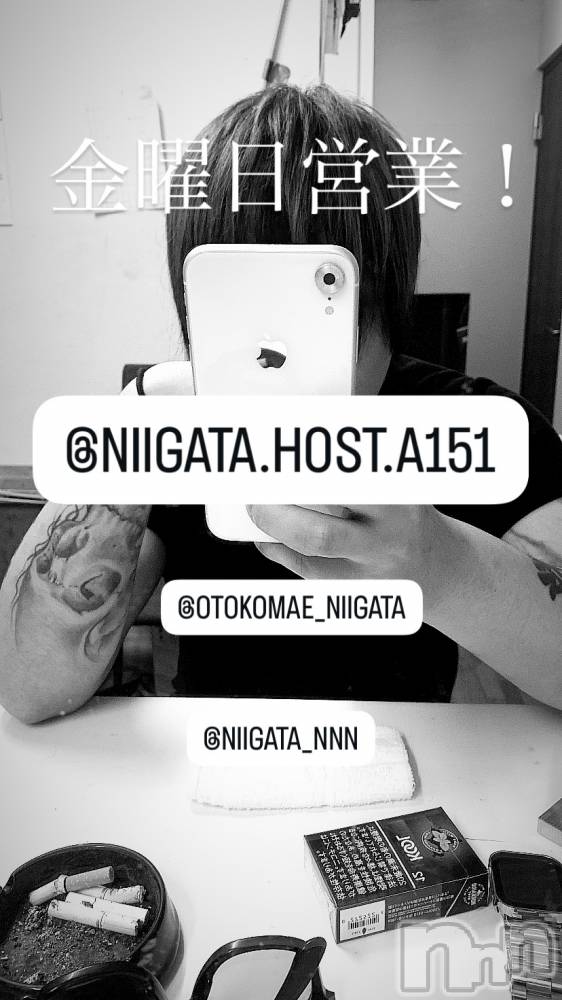 ĮۥȡܡСA151(ݥ) 褦1128ֶ̥֥