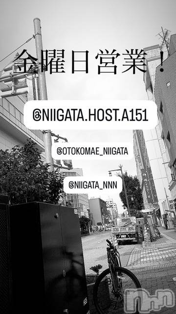 ĮۥȡܡСA151(ݥ) 褦125ֶ̥֥