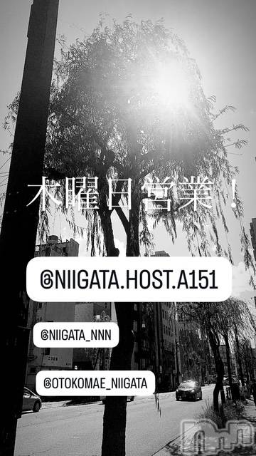 ĮۥȡܡСA151(ݥ) 褦1211̥֥