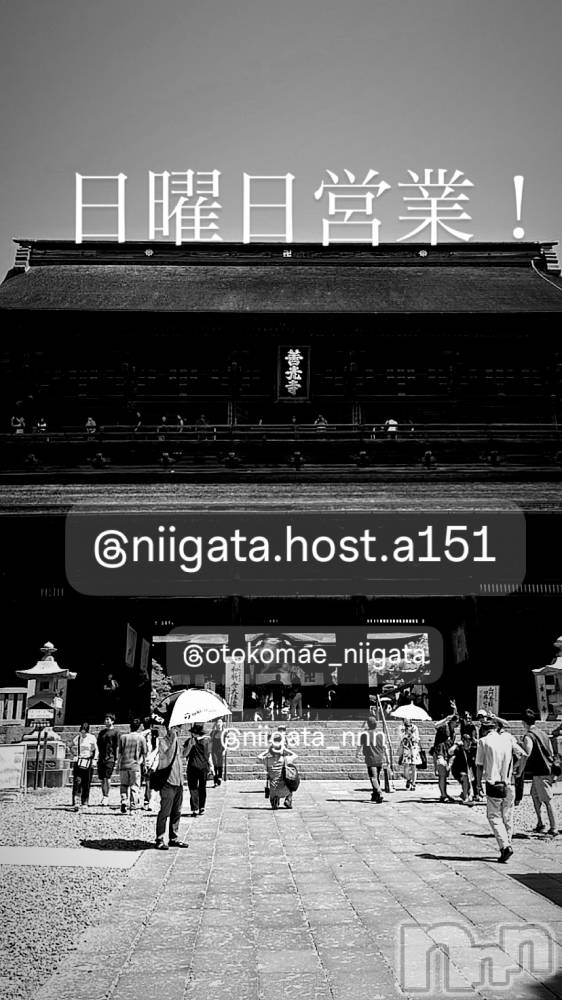 ĮۥȡܡСA151(ݥ) 褦1214̥֥