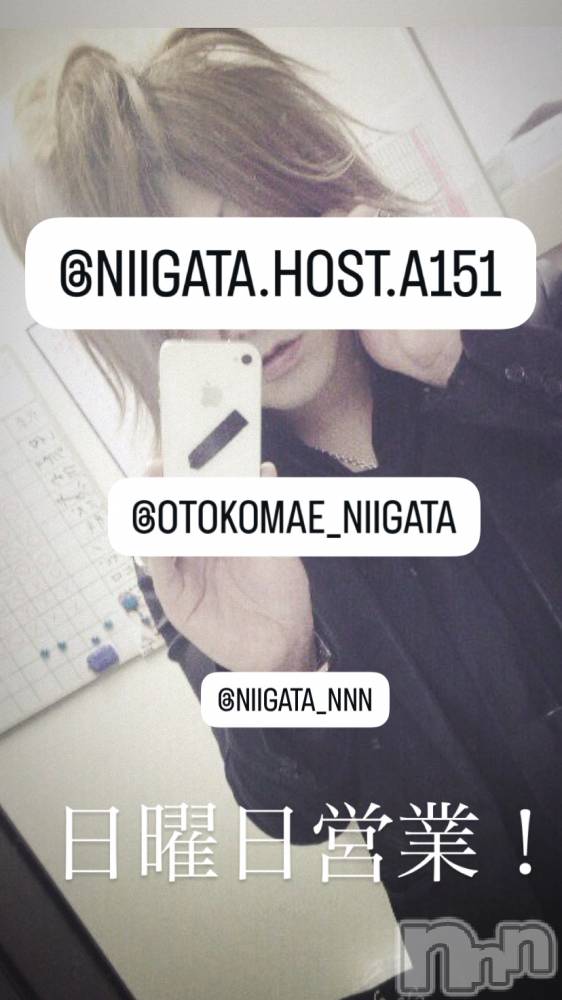 ��Į�ۥ��ȡ��ܡ������С�A151(�����������ݥ���) �褦��12��21���̥�֥�������������