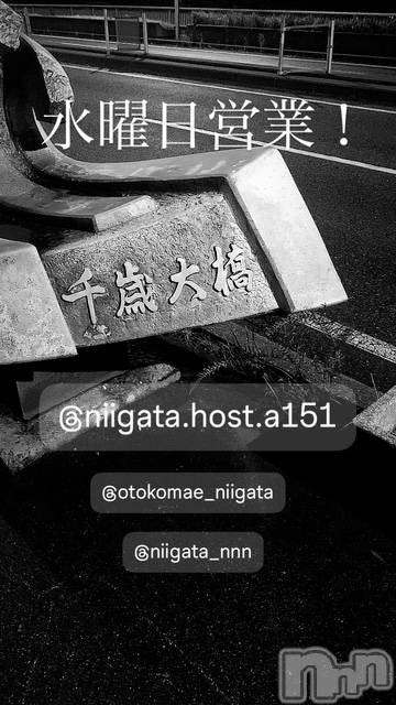 ��Į�ۥ��ȡ��ܡ������С�A151(�����������ݥ���) �褦��12��24���̥�֥����ֿ�������