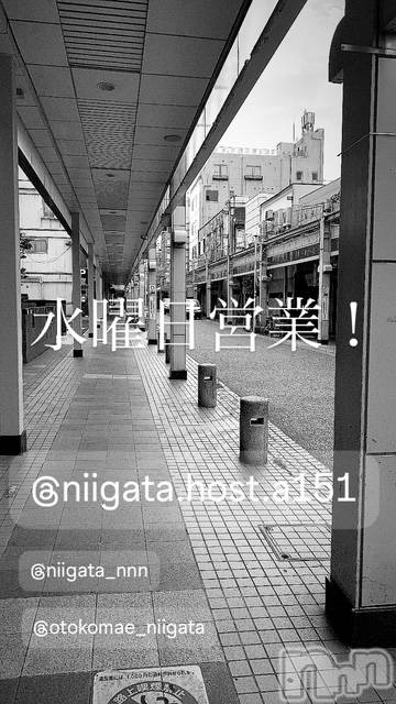 ��Į�ۥ��ȡ��ܡ������С�A151(�����������ݥ���) �褦��1��14���̥�֥����ֿ�������