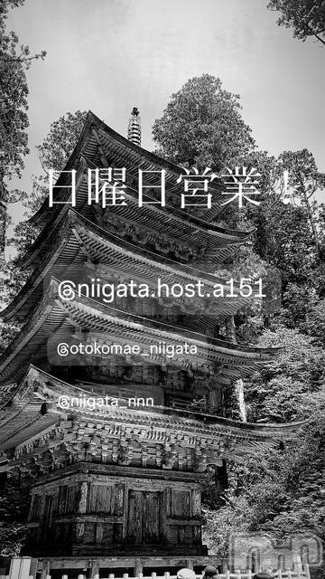 ��Į�ۥ��ȡ��ܡ������С�A151(�����������ݥ���) �褦��1��18���̥�֥�������������