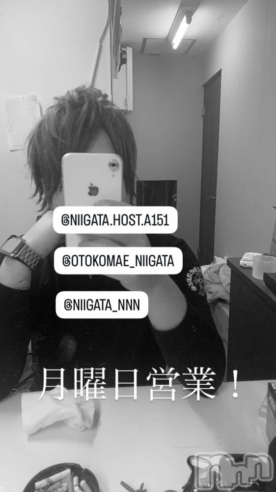 ��Į�ۥ��ȡ��ܡ������С�A151(�����������ݥ���) �褦��1��19���̥�֥����ַ�������