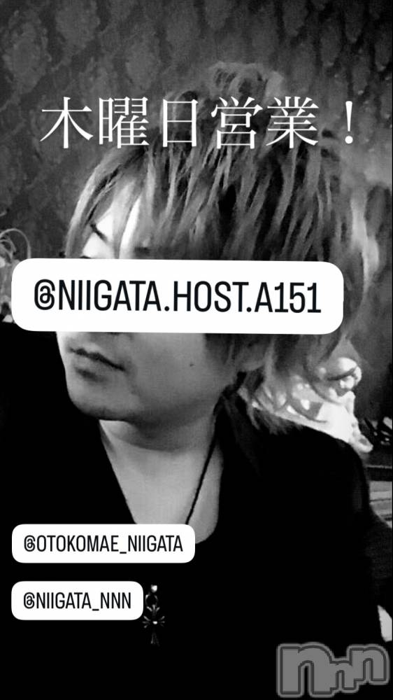 ��Į�ۥ��ȡ��ܡ������С�A151(�����������ݥ���) �褦��1��22���̥�֥�������������