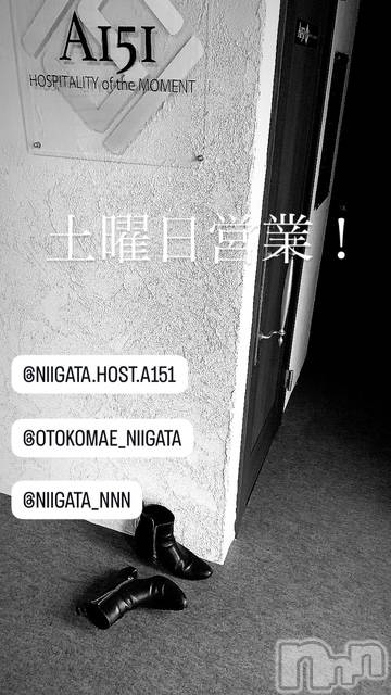 ��Į�ۥ��ȡ��ܡ������С�A151(�����������ݥ���) �褦��1��31���̥�֥�������������