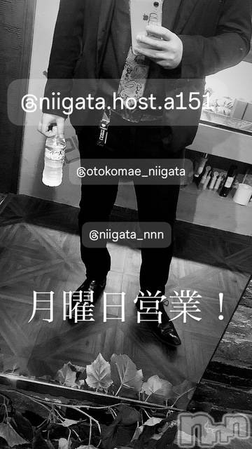 ��Į�ۥ��ȡ��ܡ������С�A151(�����������ݥ���) �褦��2��2���̥�֥����ַ�������