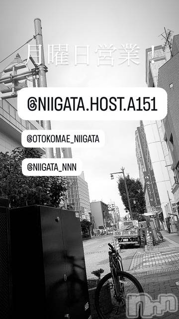 ��Į�ۥ��ȡ��ܡ������С�A151(�����������ݥ���) �褦��2��9���̥�֥����ַ�������