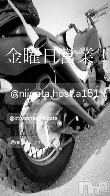 ��Į�ۥ��ȡ��ܡ������С�A151(�����������ݥ���) �褦��2��13���̥�֥����ֶ�������