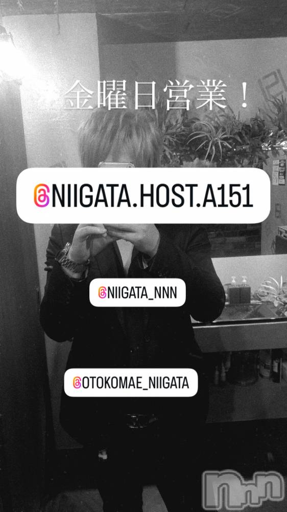 ��Į�ۥ��ȡ��ܡ������С�A151(�����������ݥ���) �褦��2��27���̥�֥����ֶ�������