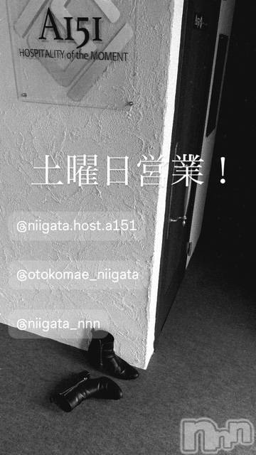 ��Į�ۥ��ȡ��ܡ������С�A151(�����������ݥ���) �褦��2��28���̥�֥�������������