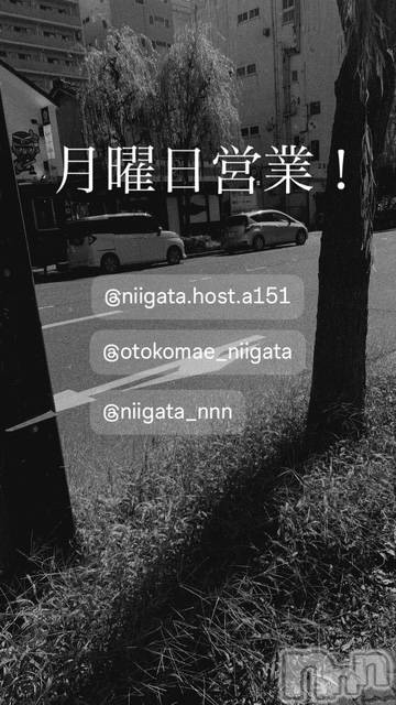 ��Į�ۥ��ȡ��ܡ������С�A151(�����������ݥ���) �褦��3��2���̥�֥����ַ�������