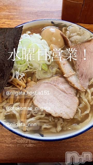 ��Į�ۥ��ȡ��ܡ������С�A151(�����������ݥ���) �褦��3��4���̥�֥����ֿ�������