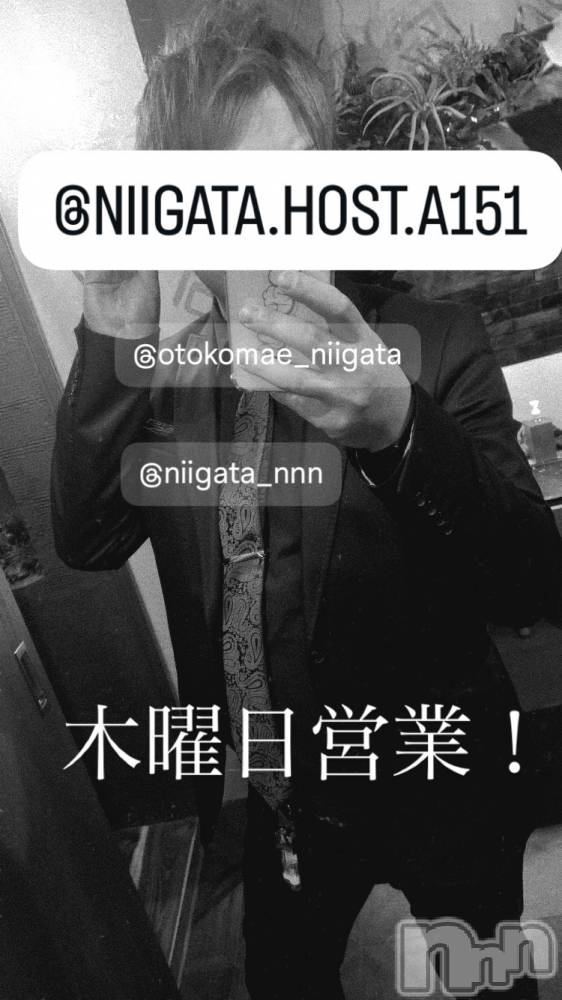 ��Į�ۥ��ȡ��ܡ������С�A151(�����������ݥ���) �褦��3��5���̥�֥�������������