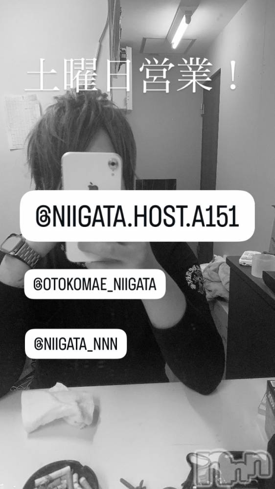 ��Į�ۥ��ȡ��ܡ������С�A151(�����������ݥ���) �褦��3��7���̥�֥�������������