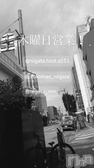 ��Į�ۥ��ȡ��ܡ������С�A151(�����������ݥ���) �褦��3��19���̥�֥�������������