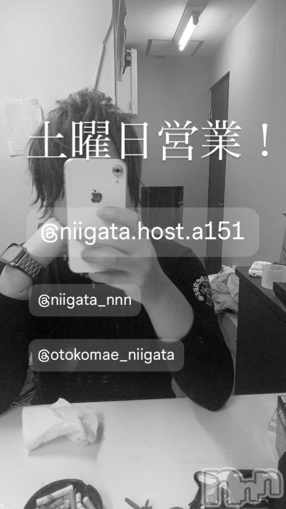 ��Į�ۥ��ȡ��ܡ������С�A151(�����������ݥ���) �褦��3��21���̥�֥�������������