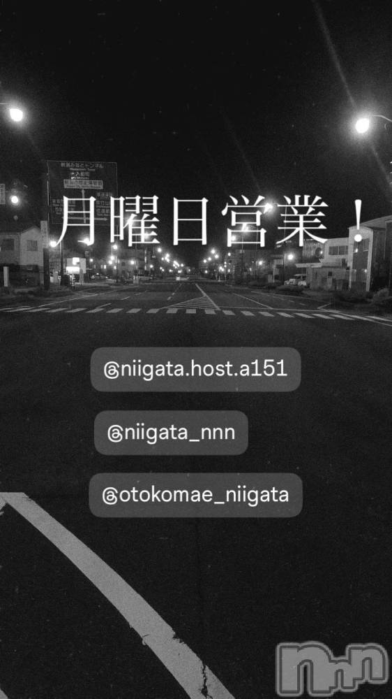 ��Į�ۥ��ȡ��ܡ������С�A151(�����������ݥ���) �褦��3��30���̥�֥����ַ�������