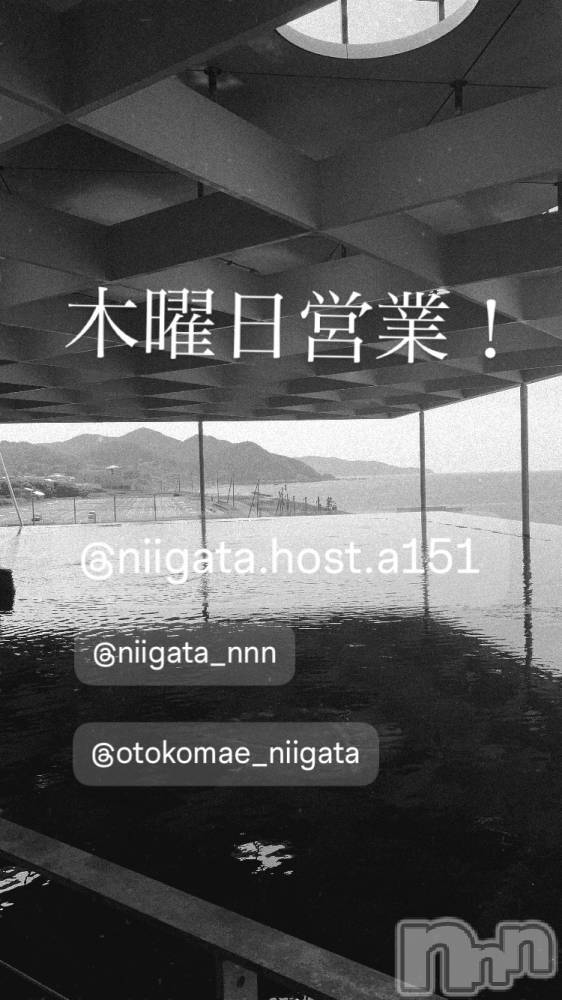 ��Į�ۥ��ȡ��ܡ������С�A151(�����������ݥ���) �褦��4��16���̥�֥�������������