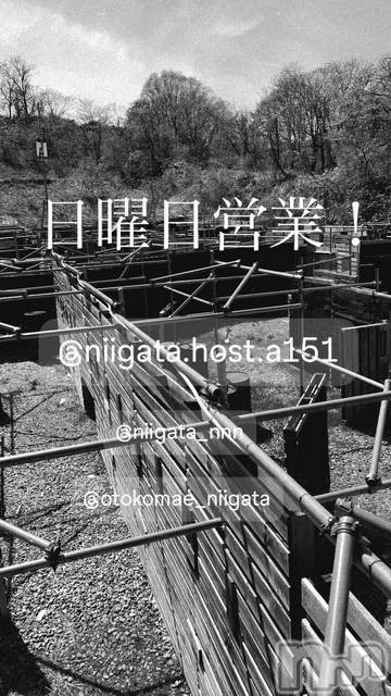 ��Į�ۥ��ȡ��ܡ������С�A151(�����������ݥ���) �褦��4��19���̥�֥�������������