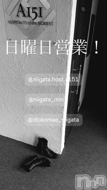 ��Į�ۥ��ȡ��ܡ������С�A151(�����������ݥ���) �褦��4��26���̥�֥�������������