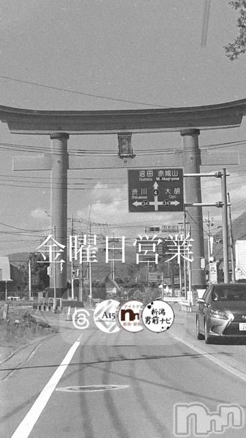 ��Į�ۥ��ȡ��ܡ������С�A151(�����������ݥ���) �褦��7��3���̥�֥����ֶ�������