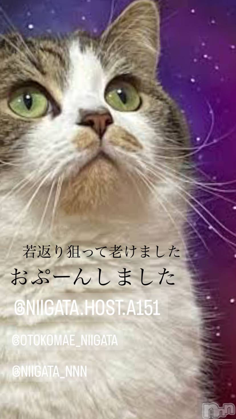 ĮۥȡܡСA151(ݥ) 2023ǯ1228̥֥