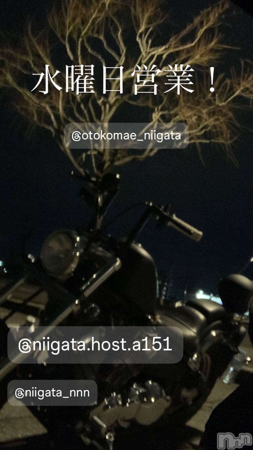 ĮۥȡܡСA151(ݥ) 2025ǯ1112ֿ̥֥