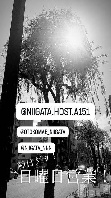 ĮۥȡܡСA151(ݥ) 2025ǯ1130̥֥