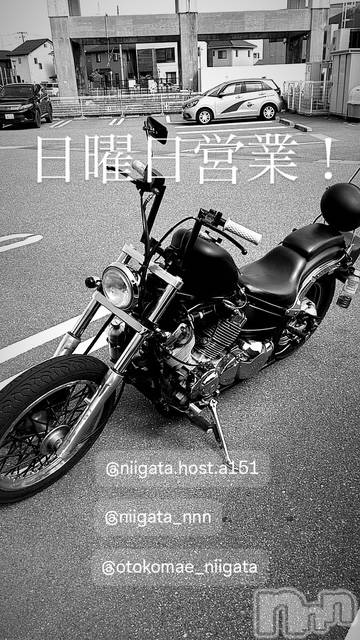 ��Į�ۥ��ȡ��ܡ������С�A151(�����������ݥ���) ��2025ǯ12��28���̥�֥�������������