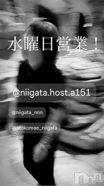 ��Į�ۥ��ȡ��ܡ������С�A151(�����������ݥ���) ��2026ǯ1��7���̥�֥����ֿ�������