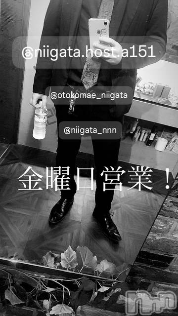 ��Į�ۥ��ȡ��ܡ������С�A151(�����������ݥ���) ��2026ǯ1��16���̥�֥����ֶ�������