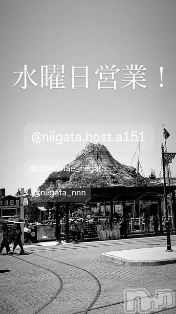 ��Į�ۥ��ȡ��ܡ������С�A151(�����������ݥ���) ��2026ǯ1��21���̥�֥����ֿ�������