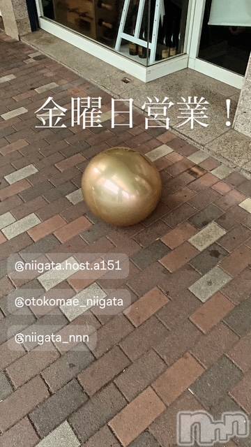 ��Į�ۥ��ȡ��ܡ������С�A151(�����������ݥ���) ��2026ǯ1��30���̥�֥����ֶ�������