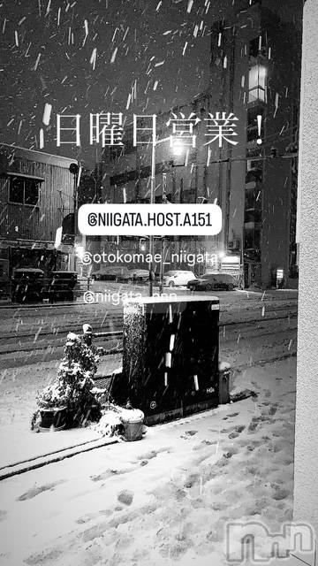 ��Į�ۥ��ȡ��ܡ������С�A151(�����������ݥ���) ��2026ǯ2��8���̥�֥�������������