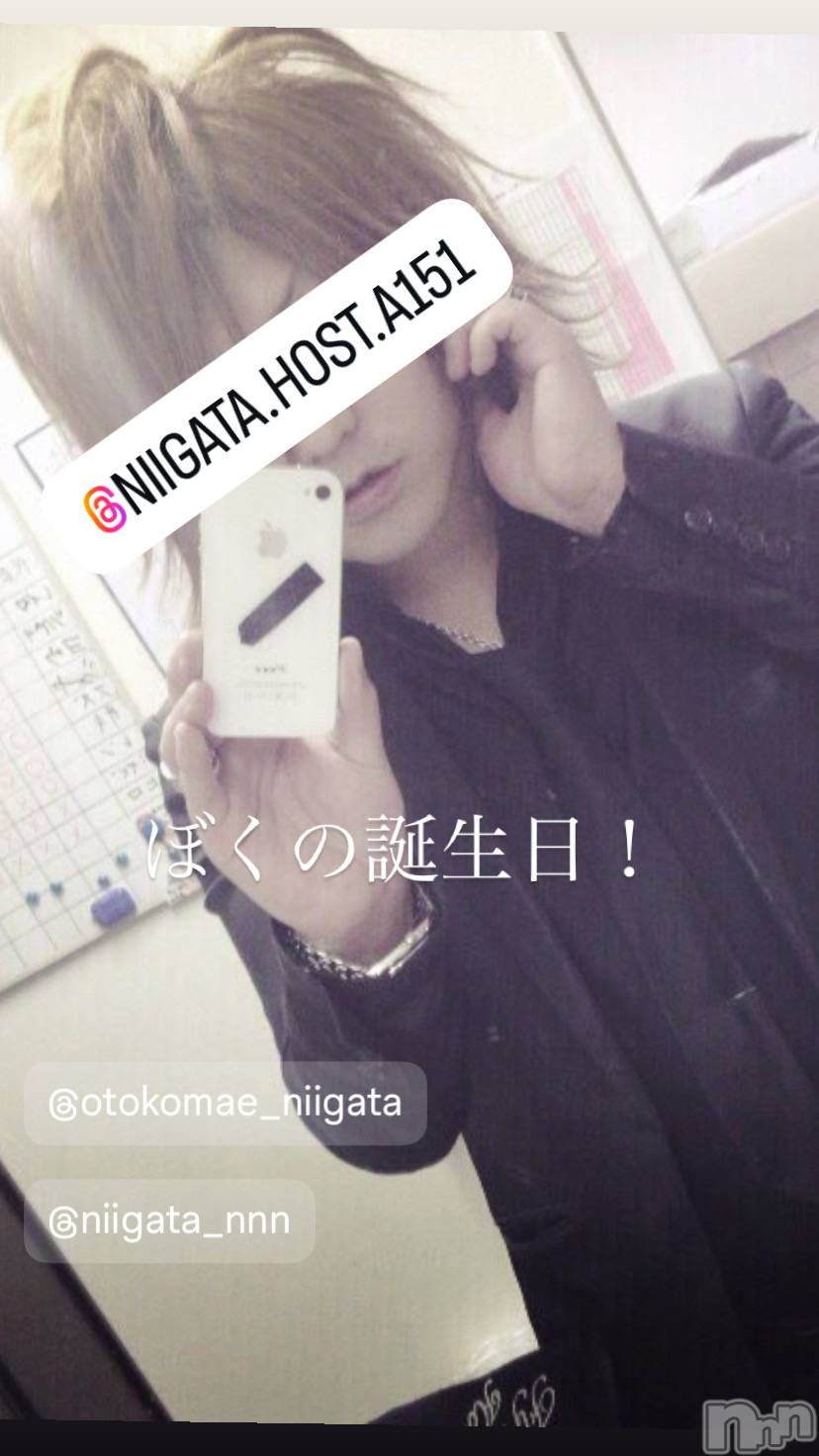 ��Į�ۥ��ȡ��ܡ������С�A151(�����������ݥ���) ��2026ǯ2��14���̥�֥�������������