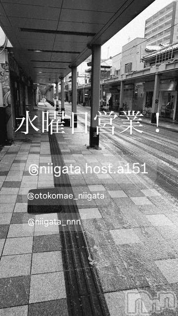 ��Į�ۥ��ȡ��ܡ������С�A151(�����������ݥ���) ��2026ǯ2��25���̥�֥����ֿ�������