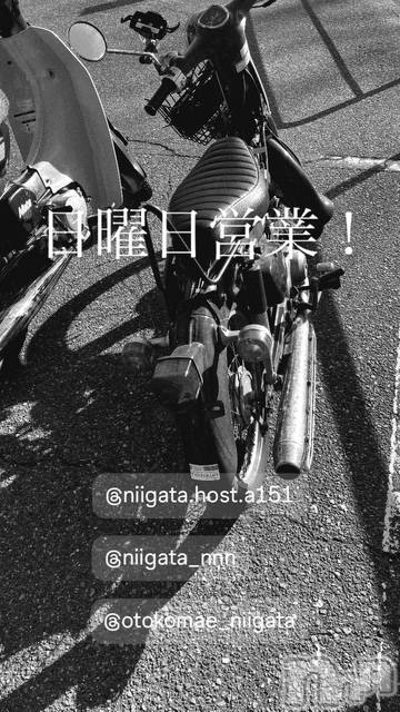 ��Į�ۥ��ȡ��ܡ������С�A151(�����������ݥ���) ��2026ǯ3��22���̥�֥�������������