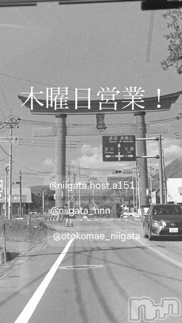 ��Į�ۥ��ȡ��ܡ������С�A151(�����������ݥ���) ��2026ǯ4��2���̥�֥�������������